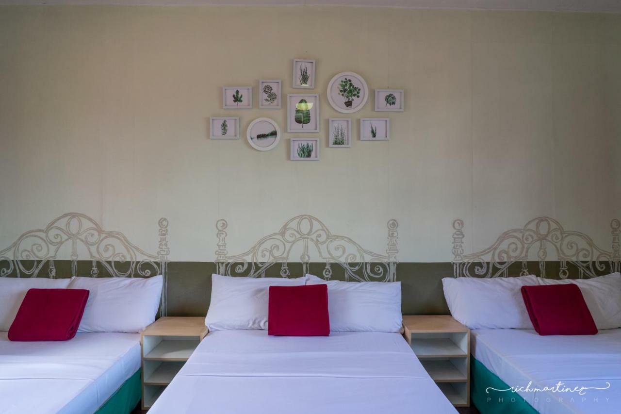 Old Orangewood Bed & Breakfast Baguio City Exteriér fotografie